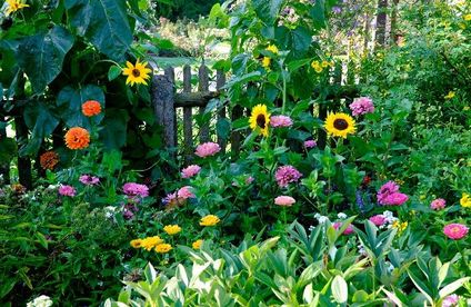 Der perfekte Hausgarten Blühender Bauerngarten