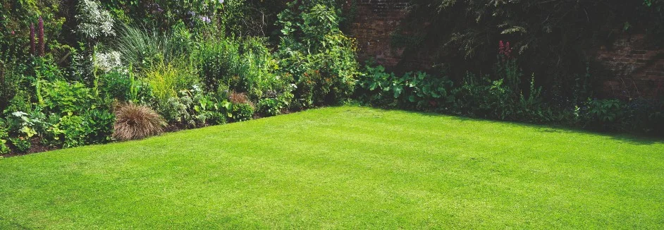 Ein gepflegter grüner Rasen