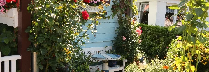 Blühender Vorgarten mit Sitzecke