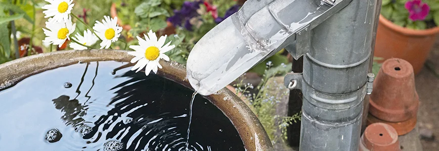 Regenwassertonne füllt Wasserbecken