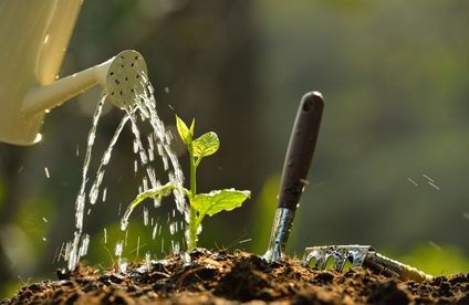RT Beete planen waessern 20 50 717x467 Pflanzen gießen