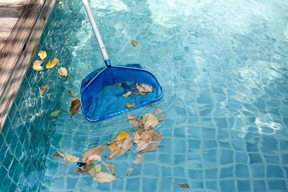 Kescher entfernt Blätter aus Pool