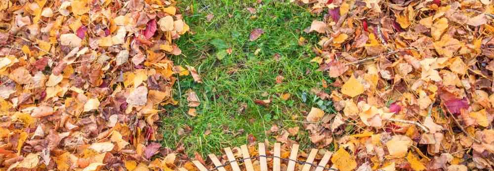 Ein Bambusrechen harkt buntes Herbstlaub zusammen.