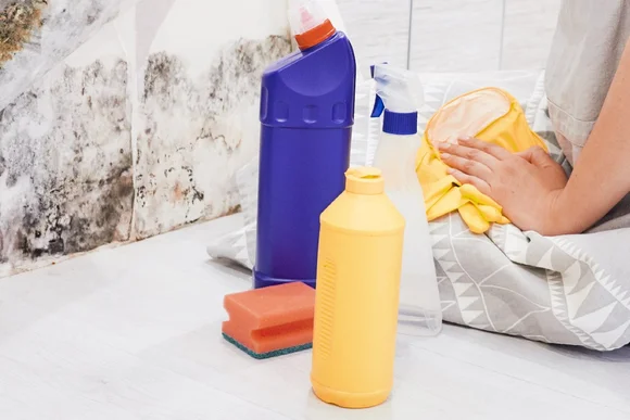 Schimmelentferner und Schwamm