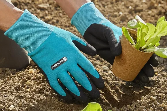 Gartenhandschuhe halten Jungpflanze
