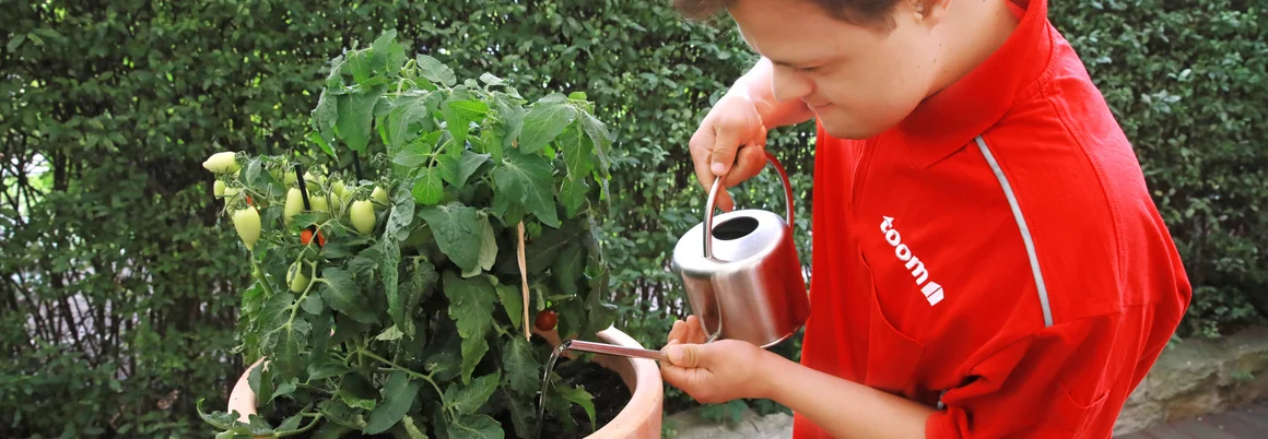 Person gießt Pflanze mit Gießkanne