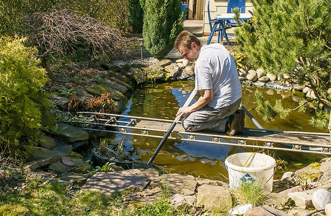Gartenteich reinigen: Anleitung fr einen sauberen Teich