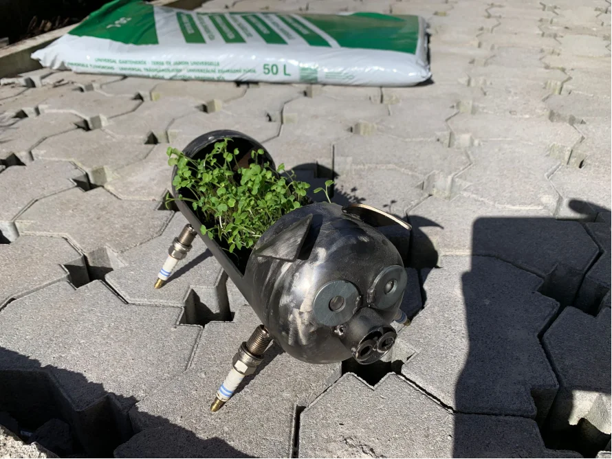 Metallschwein als Blumentopf