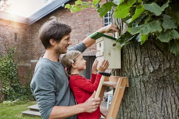 Zwei Personen bringen ein Vogelhaus an einem Baum an.