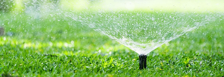 Regner bewässert Rasen