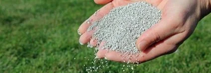 Hände streuen Dünger auf Rasen