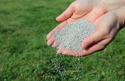 Rasen düngen Hand säht Rasen nach