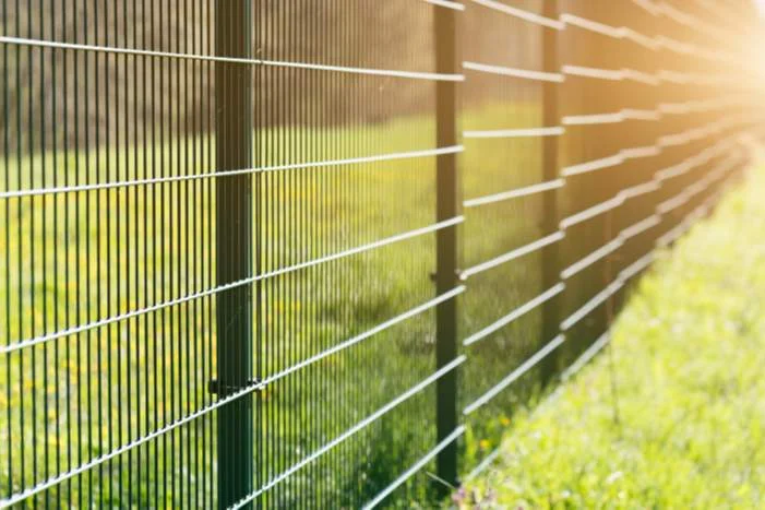 Grüner Maschendrahtzaun