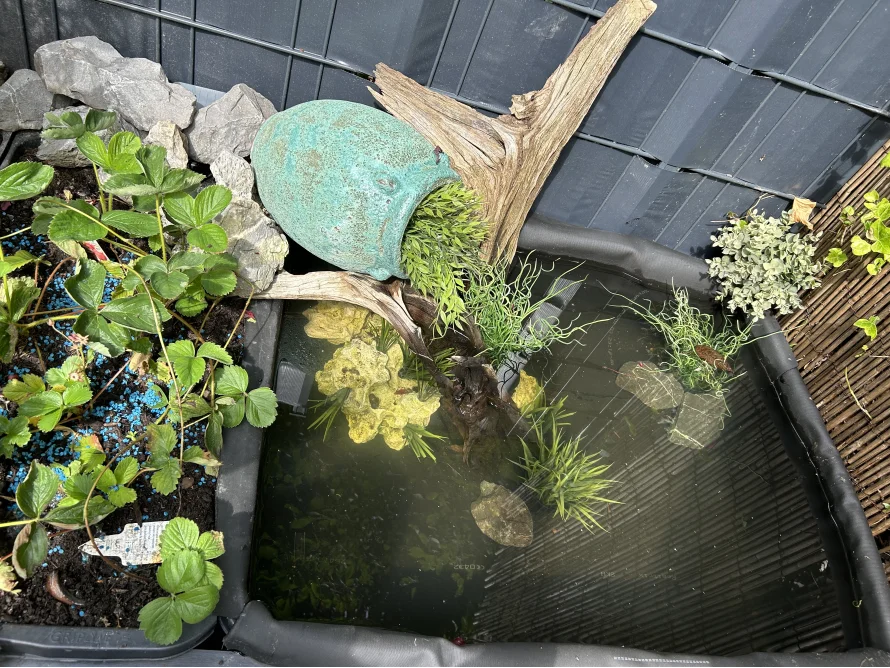Kleiner Teich mit Dekoration