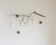 Ast mit Sternen an Wand