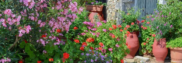 Blumen vor einem Haus
