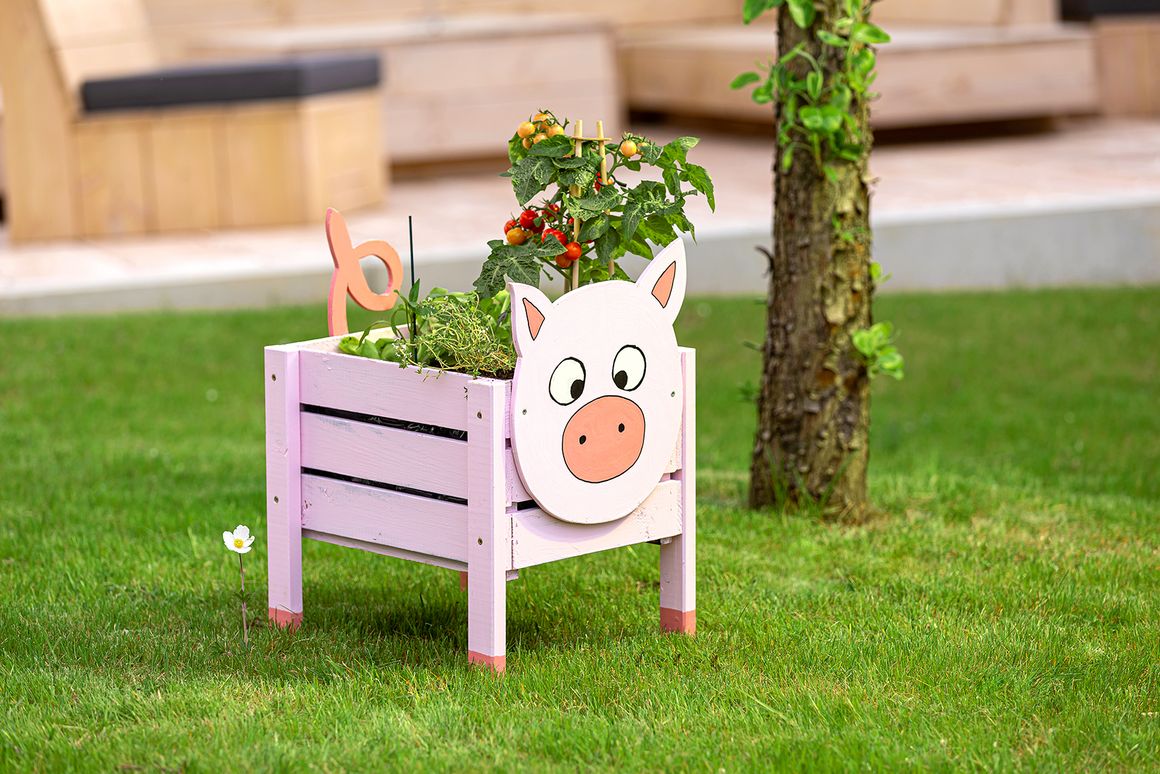 Rosa Blumenkasten in Schweinchen-Form bepflanzt mit Kräutern und Tomaten