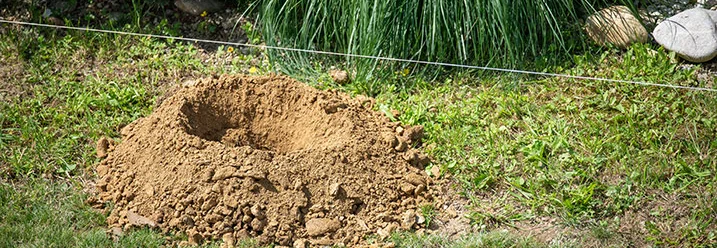 Ein Loch im Garten mit einem Erdhügel darum.