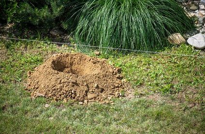 RT Kunststoffzaun aufbauen Fundament 20 29 717x467 Kunststoff Gartenzaun aufbauen Fundament