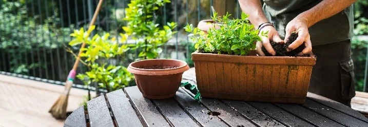 Person topft Kräuter um