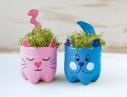 Zwei Blumentöpfe in Katzengestalt mit Kresse
