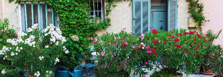 Hausfassade mit Oleander in Töpfen