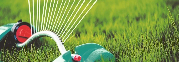 Rasensprenger bewässert Rasen