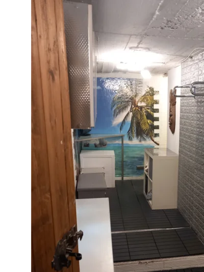 Kleiner Raum mit Palmentapete