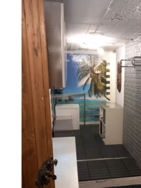 Kleiner Raum mit Palmentapete