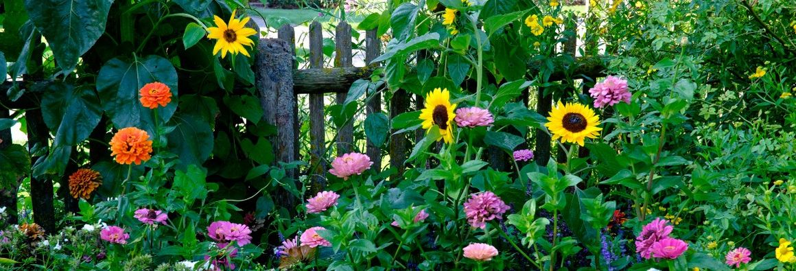 Bauerngarten