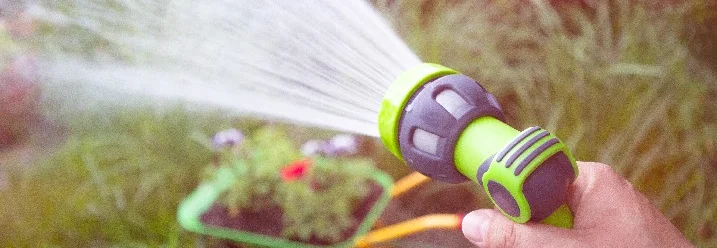 Hand hält Gartenschlauch und bewässert Blumen