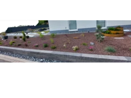 Neu angelegter Vorgarten mit Kies und Pflanzen