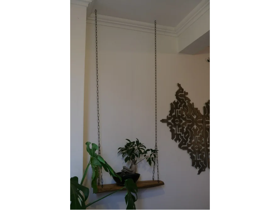 Hängendes Regal mit Pflanze