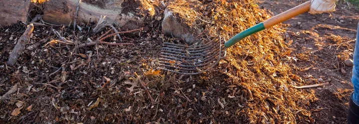 Person bearbeitet Komposthaufen mit Mistgabel