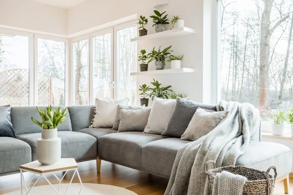 Helles Wohnzimmer mit grauer Couch