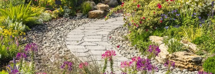 Gepflasterter Gartenweg mit bunten Blumen