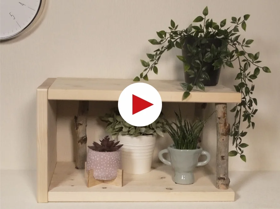 Holzregal mit Pflanzen
