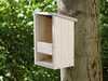 Nistkasten Nesthocker Nah