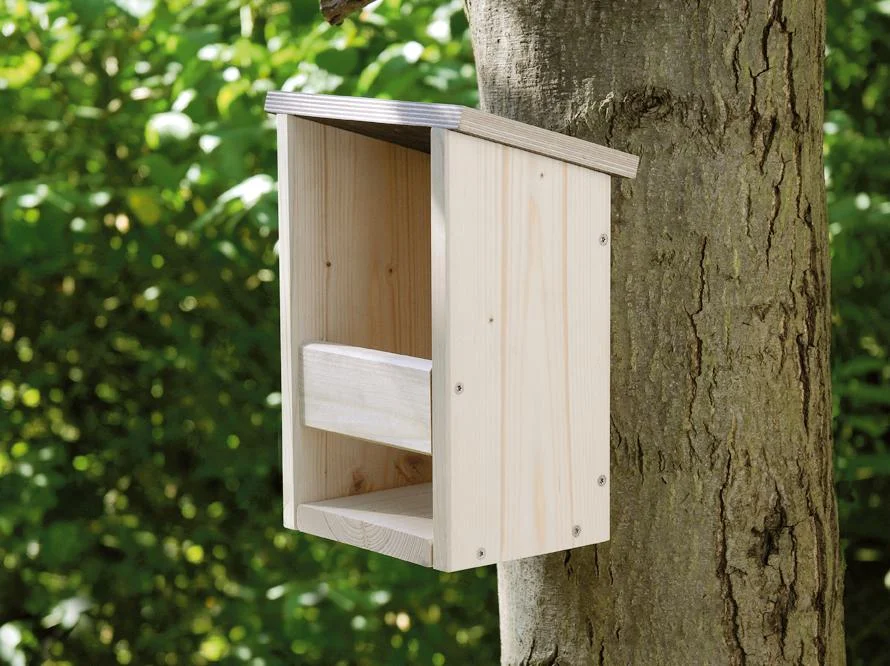 Nistkasten Nesthocker Nah