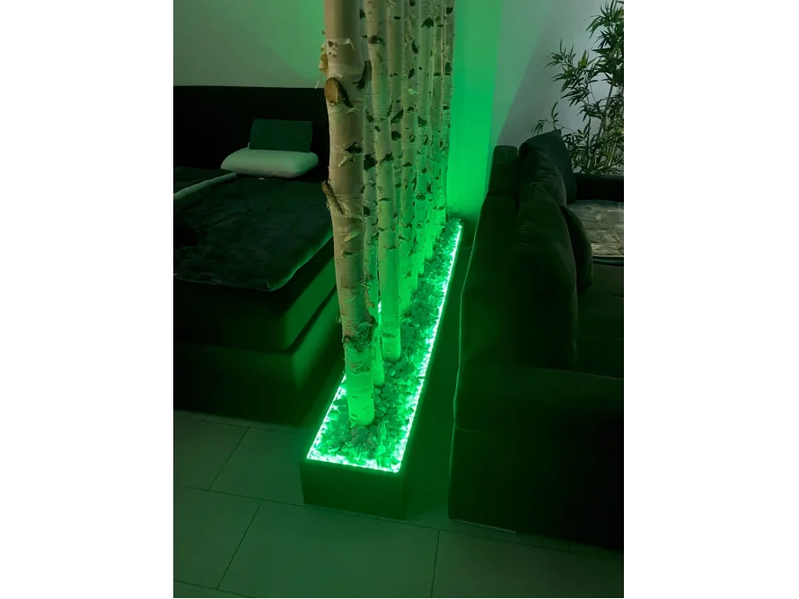 Birkenstämme mit grüner Beleuchtung