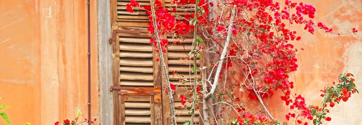 Fenster mit roten Blumen