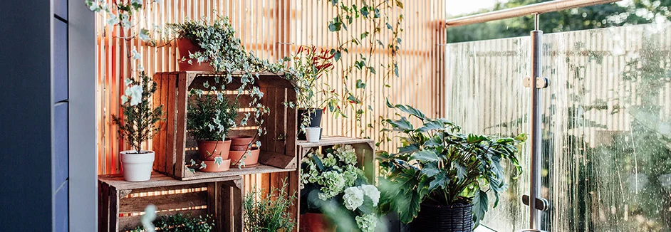 Ein Balkon mit vielen verschiedenen Pflanzen in Töpfen.