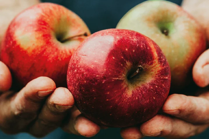 Person hält drei Äpfel in den Händen