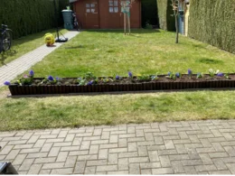 Hochbeet mit Hyazinthen