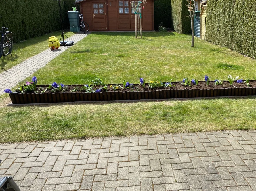 Hochbeet mit Hyazinthen