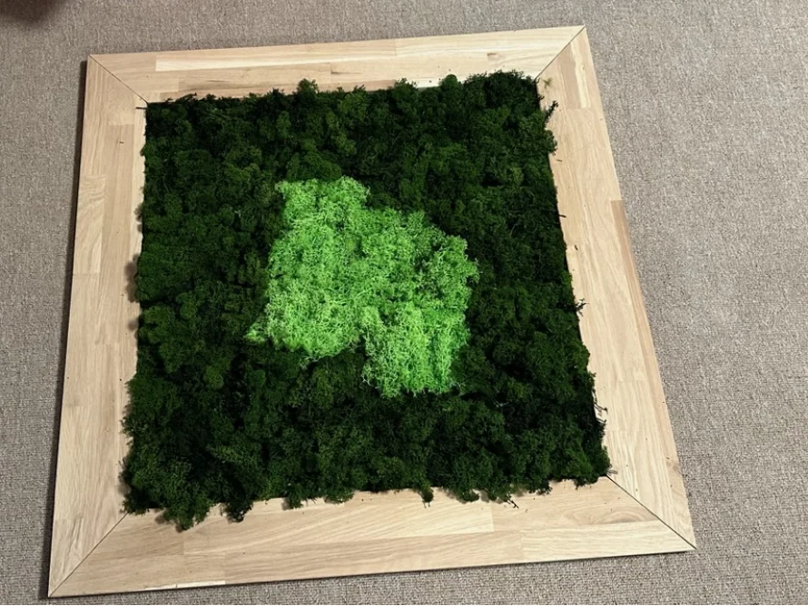 Quadratisches Wandbild aus Moos in Holzrahmen
