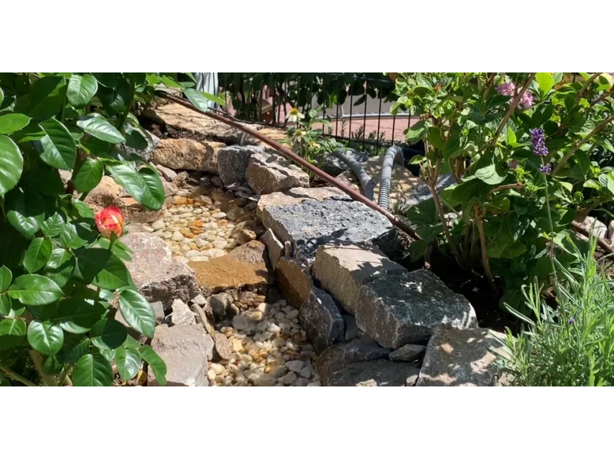 Kleiner Bachlauf im Garten