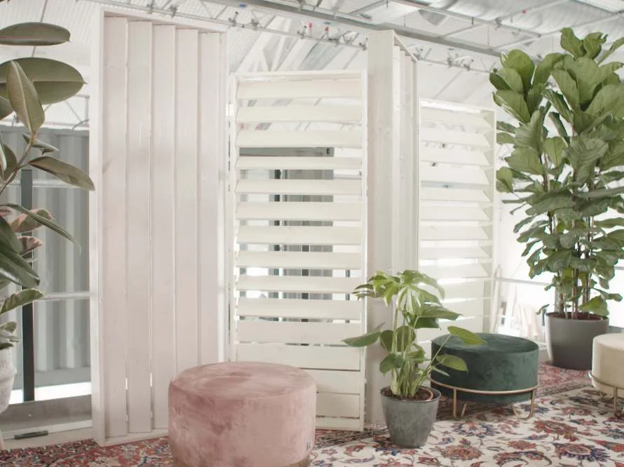 Zimmerpflanzen und Hocker