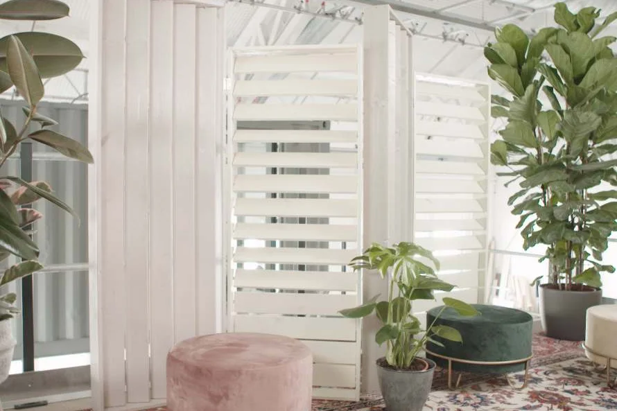 Zimmerpflanzen und Hocker