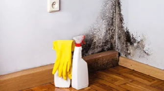Schimmelentferner und Handschuhe neben einer schimmeligen Wand